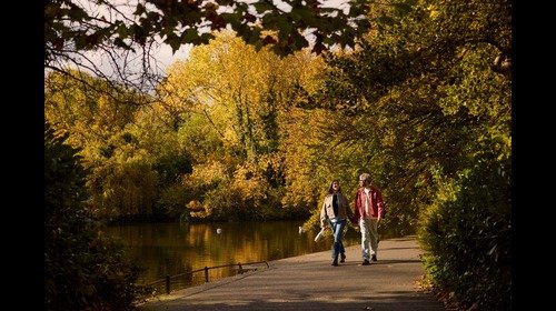Autumn Stays
